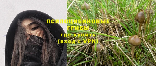 винт Абинск
