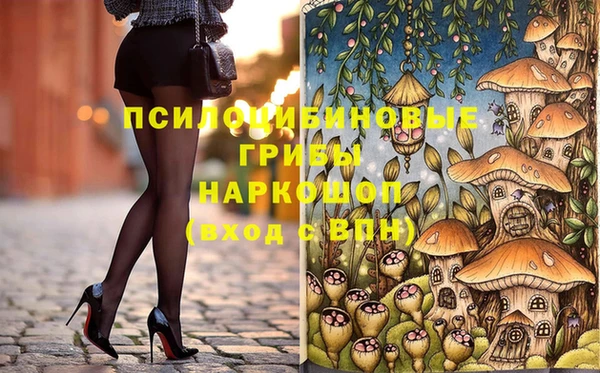 дживик Алексин
