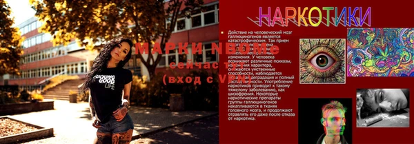 кокс Пестово