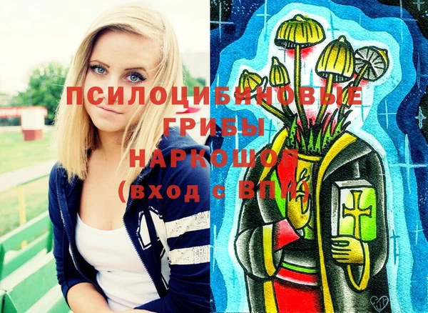 хмурый Алзамай