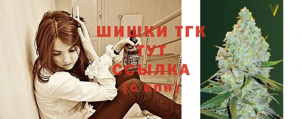 гашик Абаза