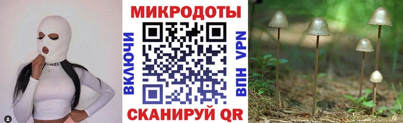 Галлюциногенные грибы Psilocybine cubensis  ссылка на мегу онион  Заринск 