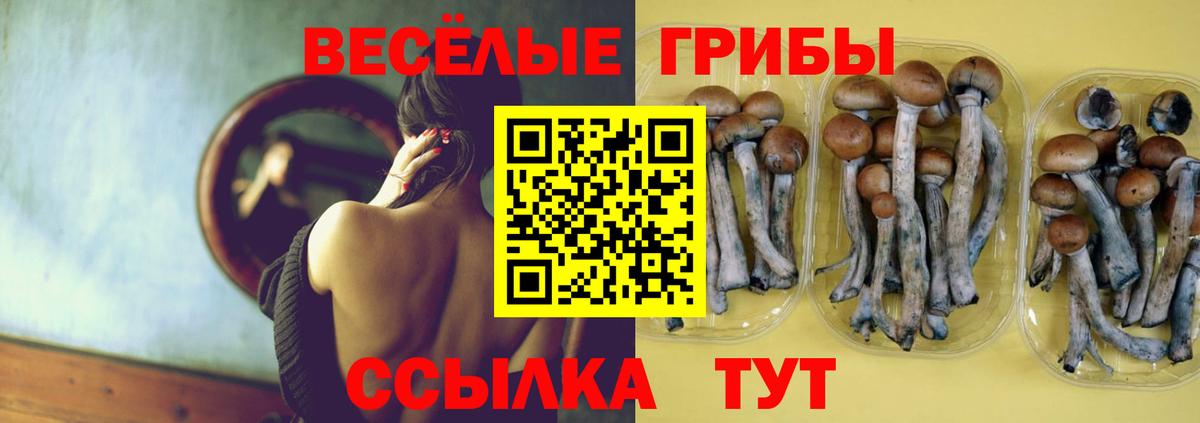 Галлюциногенные грибы мухоморы  хочу наркоту  Псилоцибиновые грибы прущие грибы  Заринск  Вход с VPN 